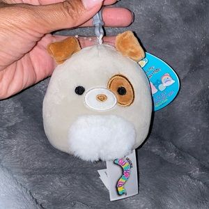 🧸Squishmallow “Harrison” dog
3.5” clip
BNWT